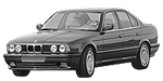 BMW E34 P0A0F Fault Code